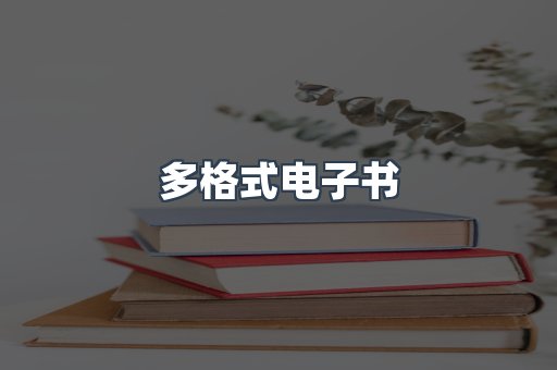 多格式电子书